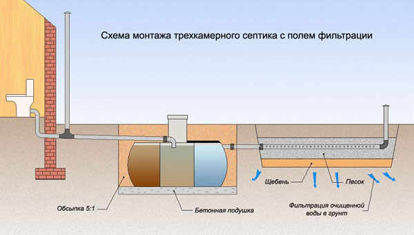 принцип работы септика